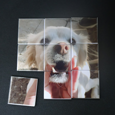 פאזל 9 מגנטים