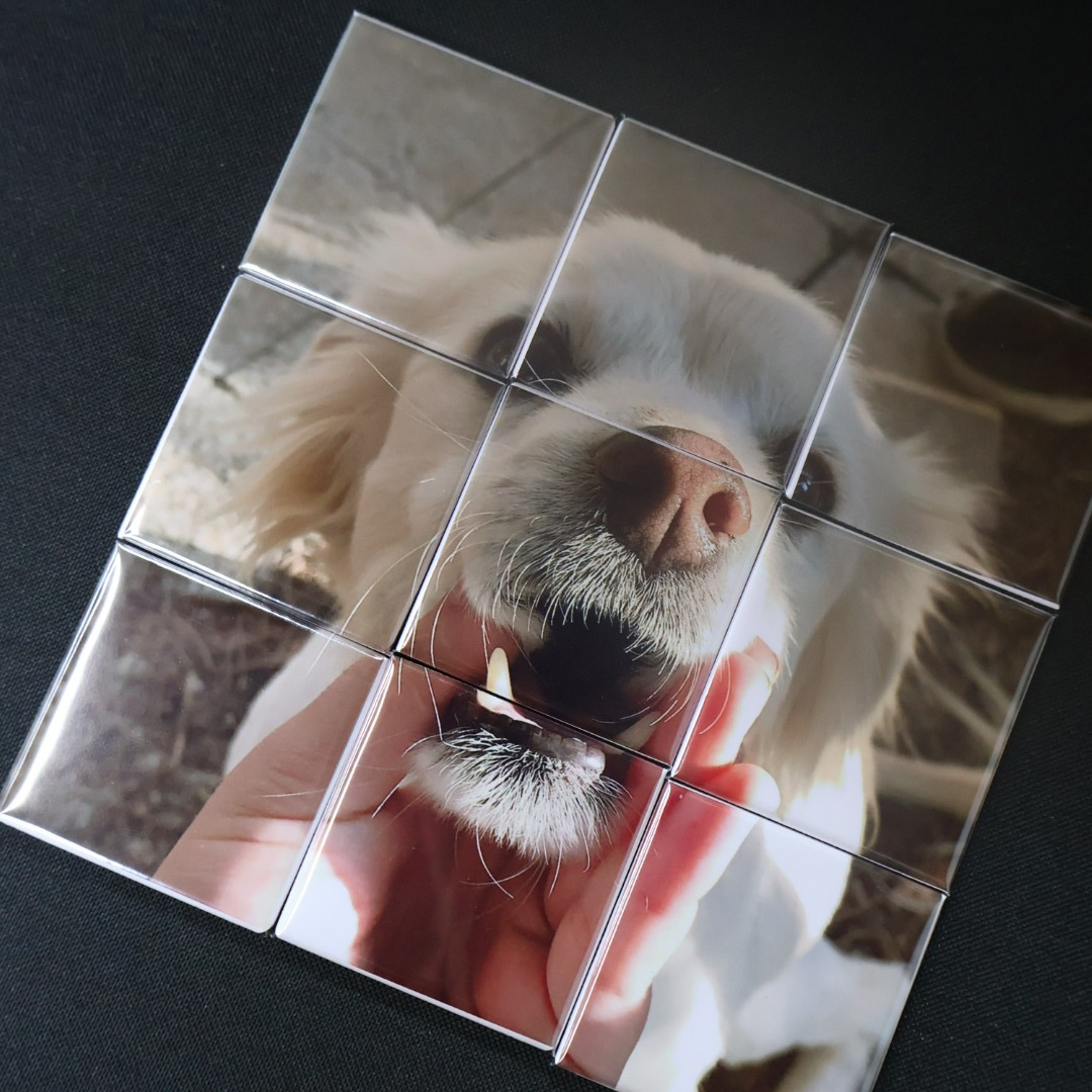 פאזל 9 מגנטים